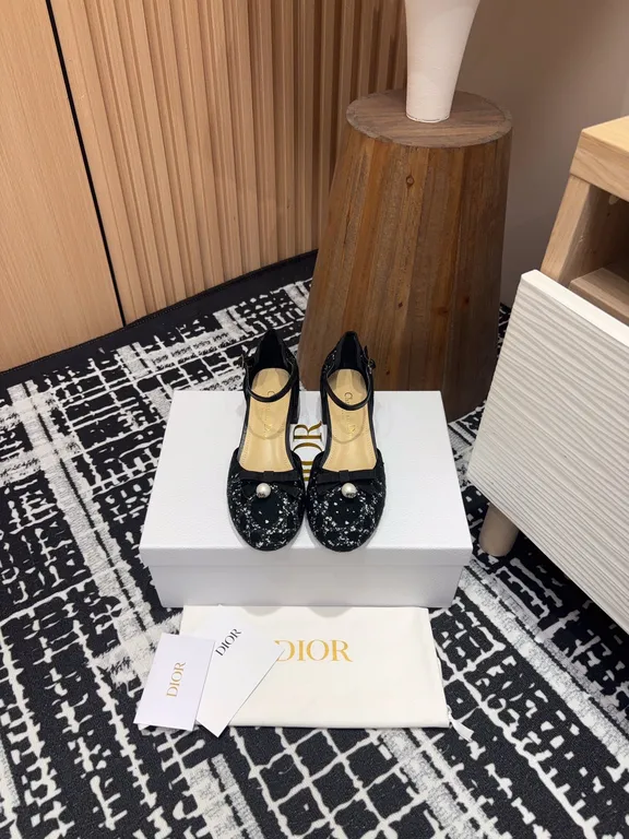 Dior Shoe 